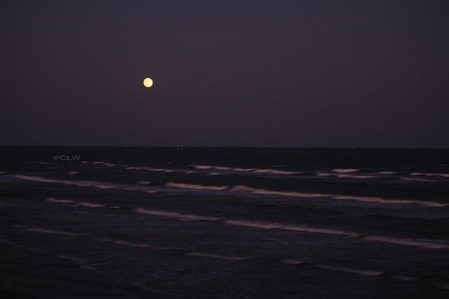 11949 Termini San Luis Pass Road 302, Galveston, TX 77554