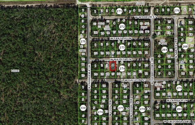 3908 W Matilda Lane, Citrus Springs, FL 34433