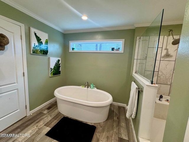 3616 Plaza Way, Pigeon Forge, TN 37863