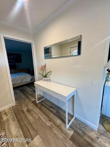 3616 Plaza Way, Pigeon Forge, TN 37863