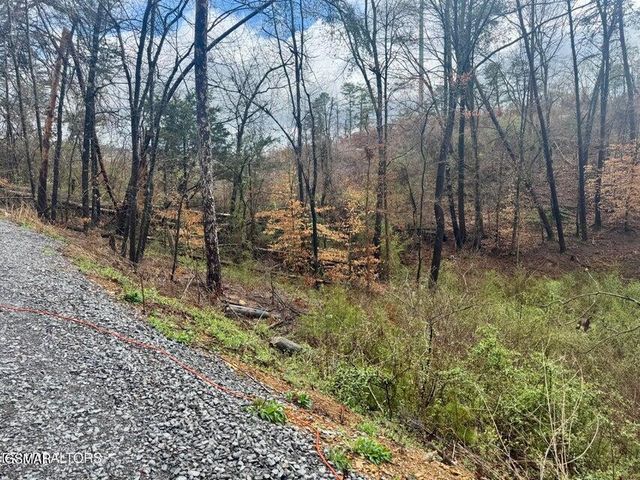 3616 Plaza Way, Pigeon Forge, TN 37863