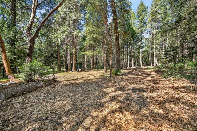 28245 BIG DIPPER Rd, Colfax, CA 95713