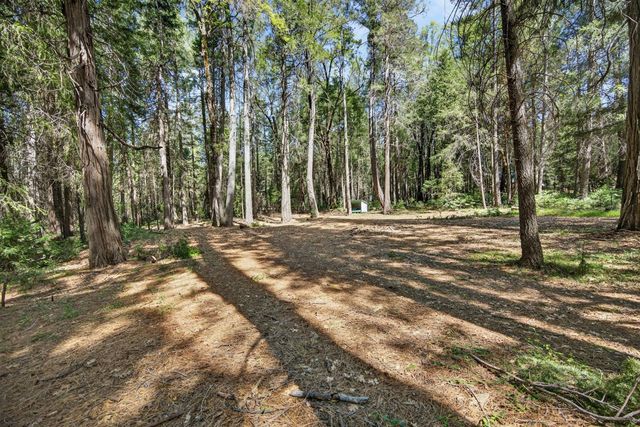 28245 BIG DIPPER Rd, Colfax, CA 95713