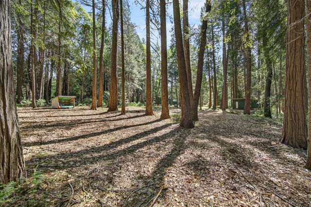 28245 BIG DIPPER Rd, Colfax, CA 95713