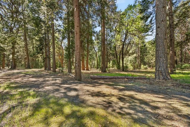 28245 BIG DIPPER Rd, Colfax, CA 95713