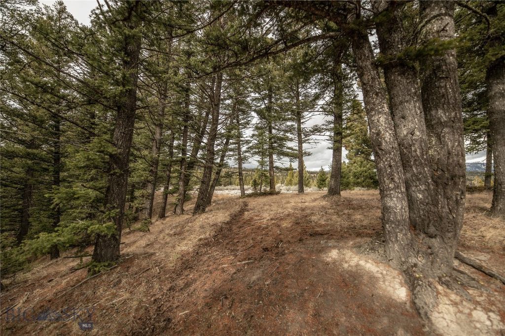 Lot 20 Charles Russell Loop, Big Sky, MT 59716 photo 14