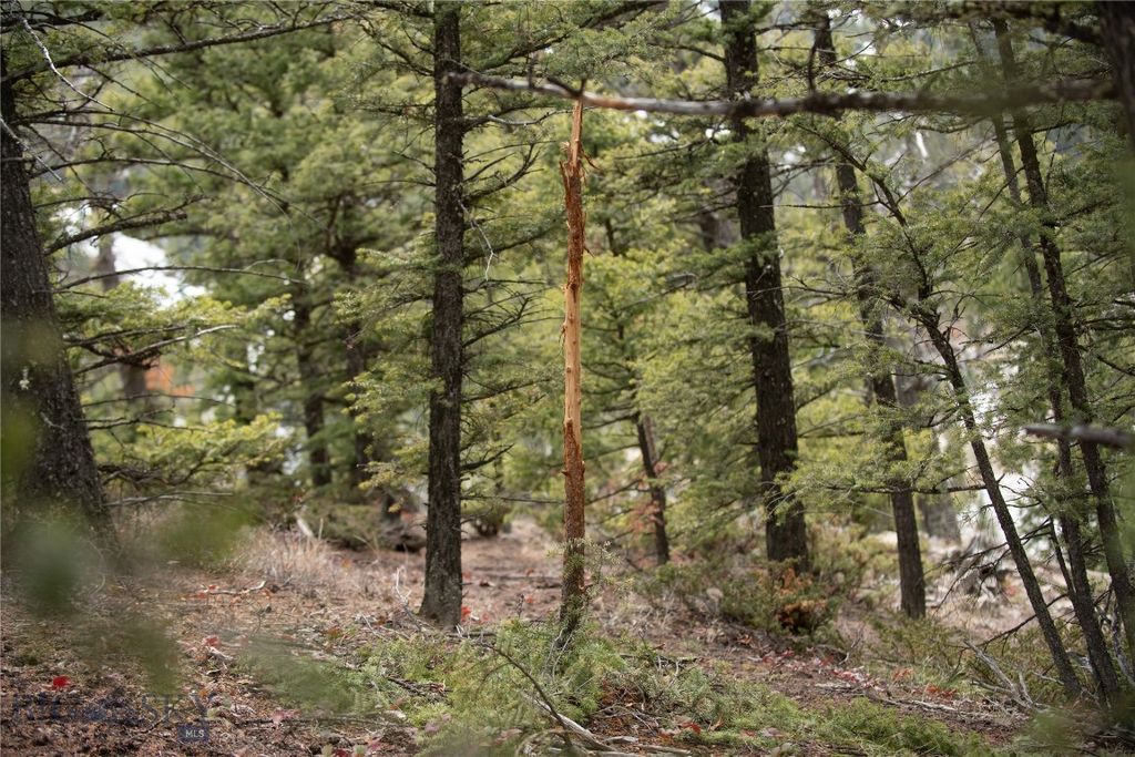 Lot 20 Charles Russell Loop, Big Sky, MT 59716 photo 15