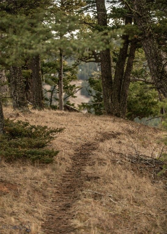 Lot 20 Charles Russell Loop, Big Sky, MT 59716 photo 16