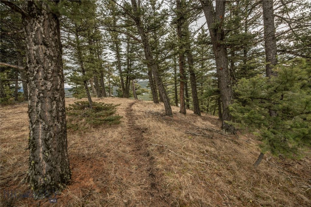 Lot 20 Charles Russell Loop, Big Sky, MT 59716 photo 25