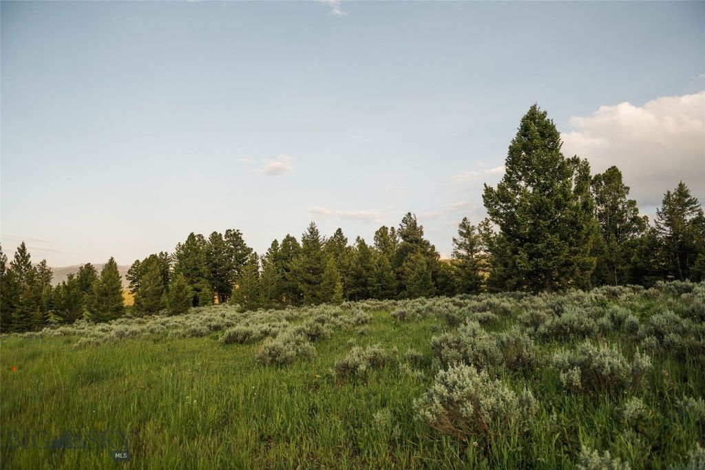 Lot 20 Charles Russell Loop, Big Sky, MT 59716 photo 46