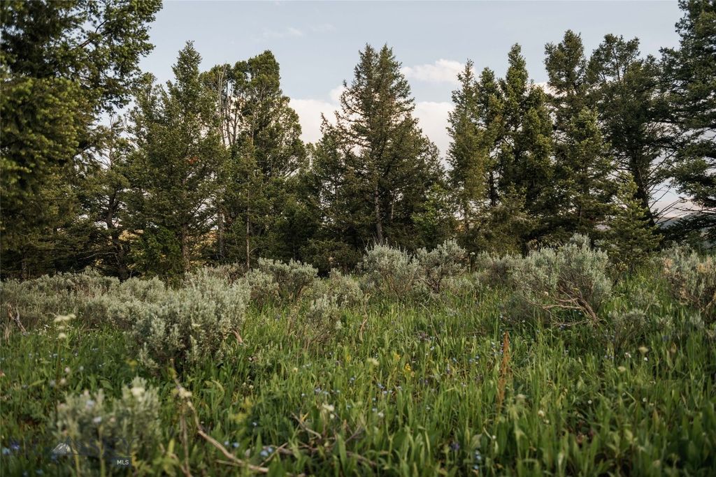 Lot 20 Charles Russell Loop, Big Sky, MT 59716 photo 48