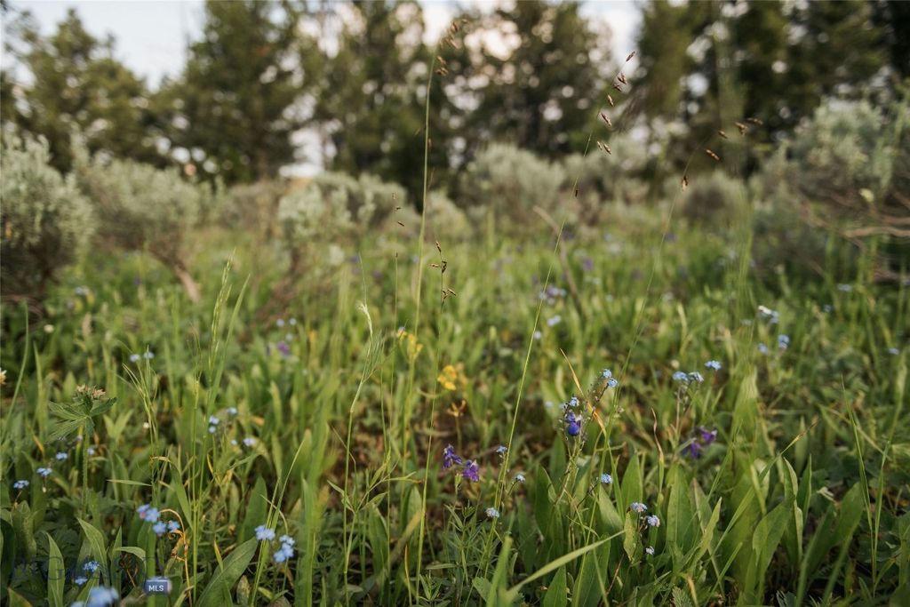 Lot 20 Charles Russell Loop, Big Sky, MT 59716 photo 49