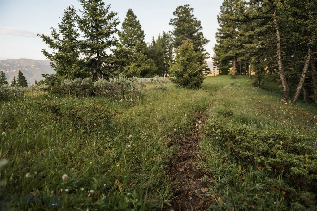 Lot 20 Charles Russell Loop, Big Sky, MT 59716 photo 53