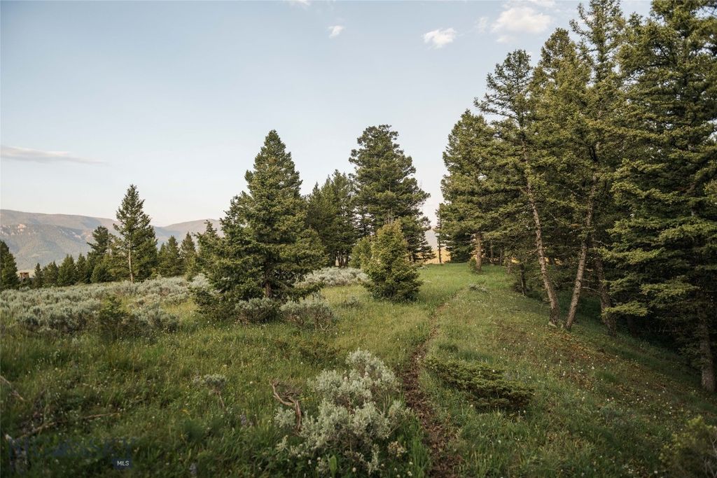 Lot 20 Charles Russell Loop, Big Sky, MT 59716 photo 54