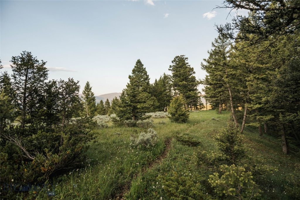 Lot 20 Charles Russell Loop, Big Sky, MT 59716 photo 55