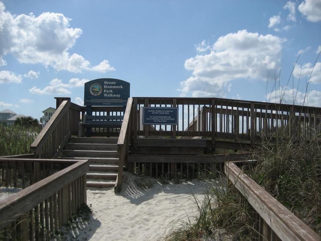 300 Spanish Oak Ct, St Augustine Beach, FL 32080