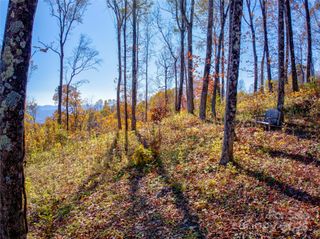 7 Laurel Ledge Way 13, Fletcher, NC 28732