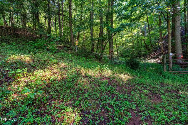 713 Laurels Road, Johnson City, TN 37601