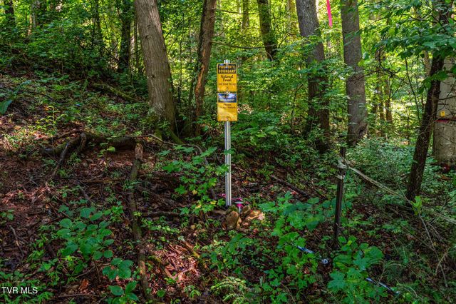 713 Laurels Road, Johnson City, TN 37601