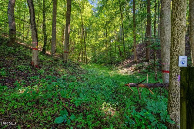713 Laurels Road, Johnson City, TN 37601