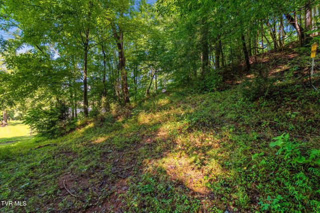 713 Laurels Road, Johnson City, TN 37601