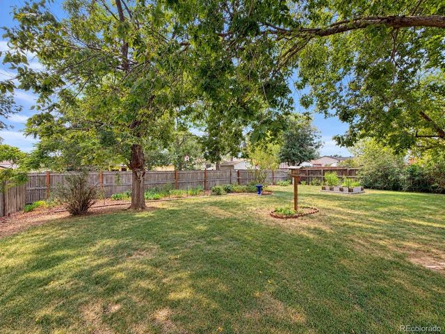11642 Monroe Street, Thornton, CO 80233