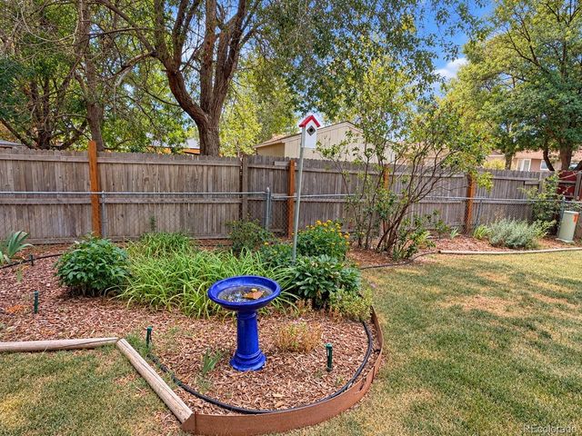 11642 Monroe Street, Thornton, CO 80233
