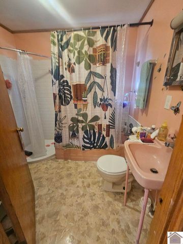 5874 State Route 339 S, Mayfield, KY 42066