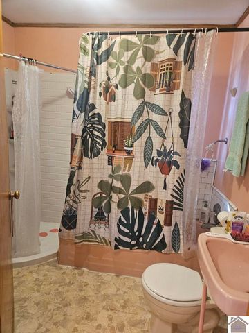 5874 State Route 339 S, Mayfield, KY 42066