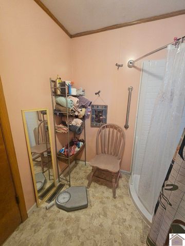 5874 State Route 339 S, Mayfield, KY 42066