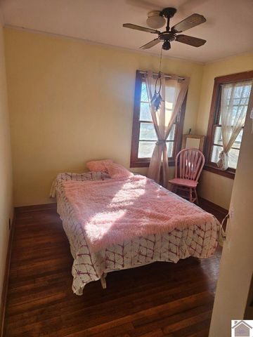 5874 State Route 339 S, Mayfield, KY 42066