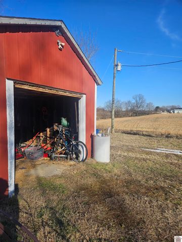 5874 State Route 339 S, Mayfield, KY 42066