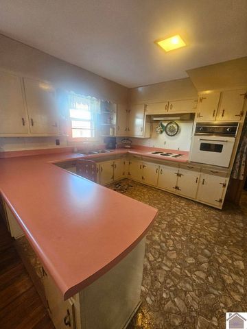 5874 State Route 339 S, Mayfield, KY 42066