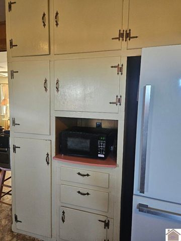 5874 State Route 339 S, Mayfield, KY 42066