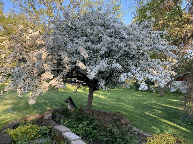 2527 W Goldcrest AVENUE, Milwaukee, WI 53221