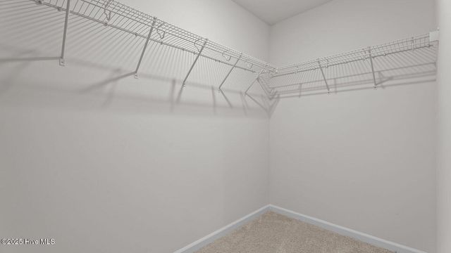 321 Wellspring Drive, Rocky Mount, NC 27804