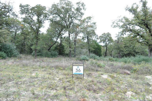TBD OakView LN, Thrall, TX 76578