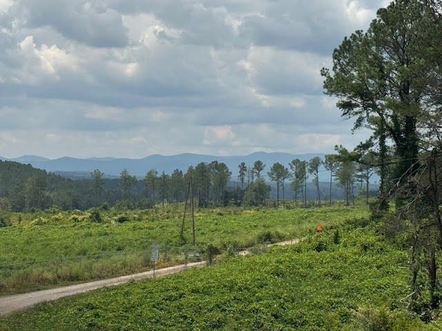 5.0 Acs Hwy 64, Copperhill, TN 37317