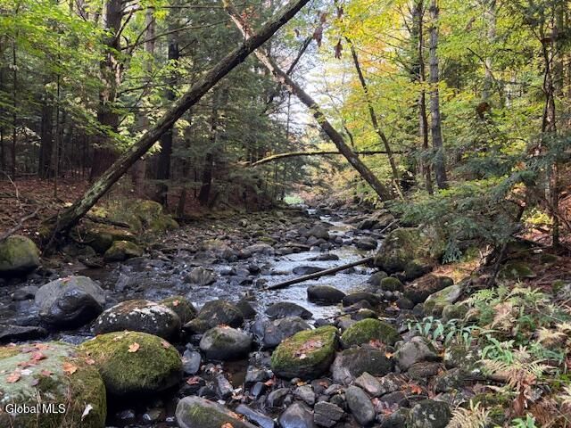 484 S Johnsburg Road, Thurman, NY 12885