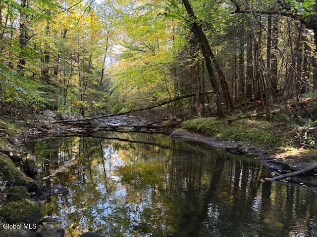 484 S Johnsburg Road, Thurman, NY 12885