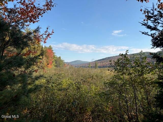 484 S Johnsburg Road, Thurman, NY 12885