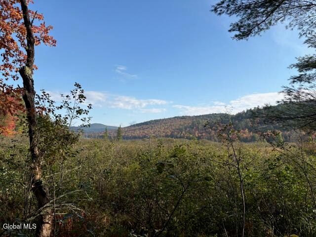 484 S Johnsburg Road, Thurman, NY 12885