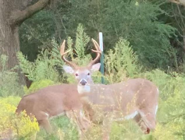 7801 E Indian Hills Road, Norman, OK 73026