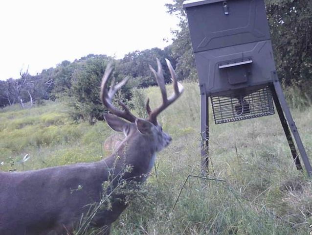 7801 E Indian Hills Road, Norman, OK 73026