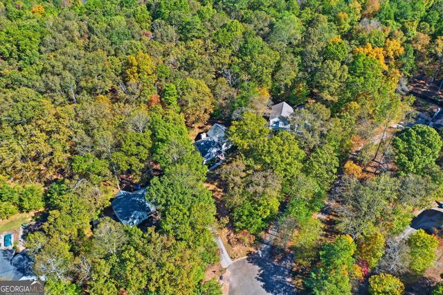 314 Calusa Place, Ball Ground, GA 30107