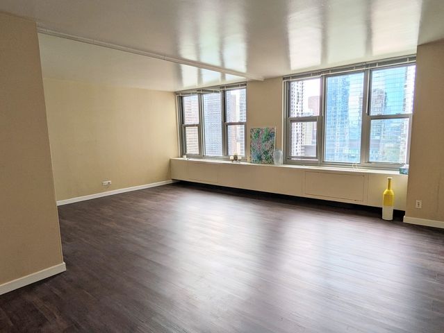 400 E Randolph Street 2812, Chicago, IL 60601