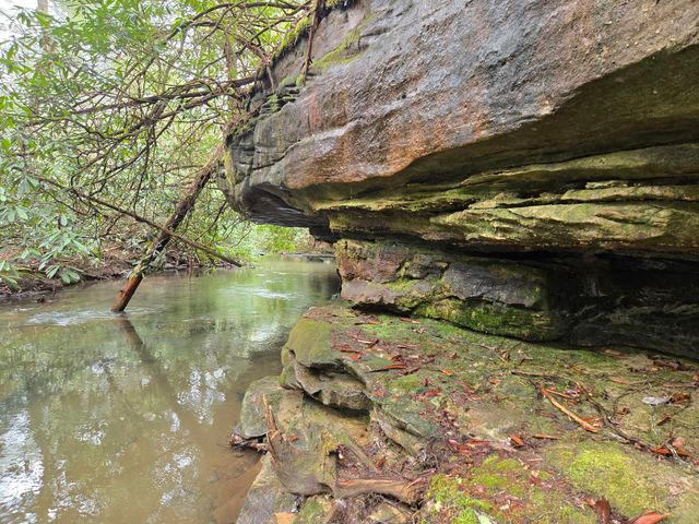 1335 Laurel Way, Monterey, TN 38574