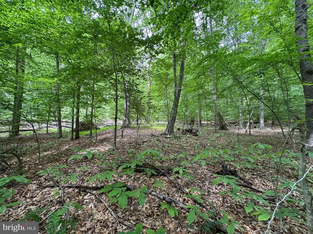 HIDDEN VALLEY RD, Accokeek, MD 20607