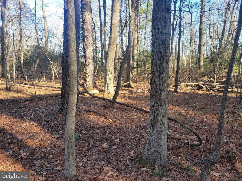 Lot 13 HOLIDAY LANE, Hague, VA 22469