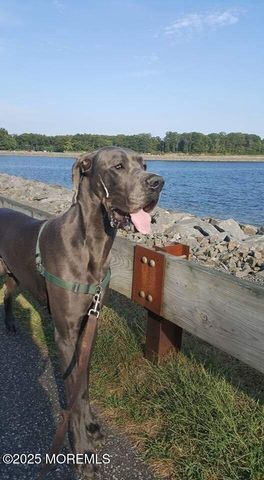 720 Maidenstone Drive, Brick, NJ 08724